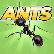 Pocket Ants(ΛρģMhƽ)v2.2.5 ׿o(w)