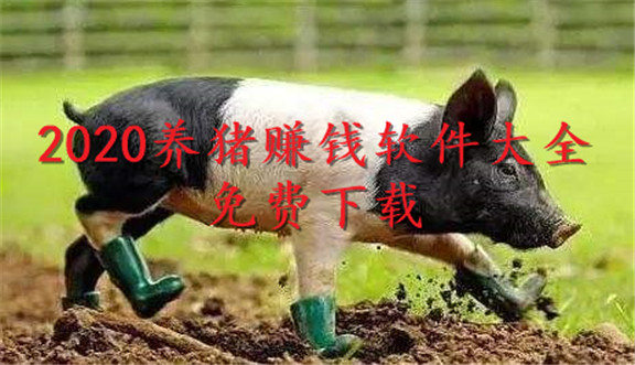 ����׬Ǯ