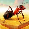 ССȺLittle Ant ColonyѰv3.4.1°