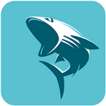 鲨鱼影视下载2022最新官方版v6.3.2最新版