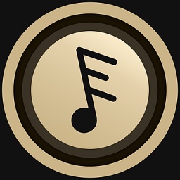 Dso Music音��app安卓版v2.8.0安卓版