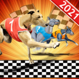 Dog Crazy Race Simulator 2021(񹷾ģ2021°)v1.01