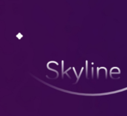 skylineģM2022°v0.30 ׿