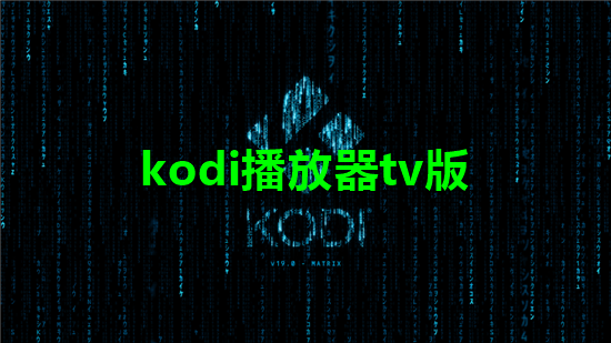 kodi播放器tv版_kodi播放器设置中文的方法_kodi播放器安卓中文版_kodi播放器电视版