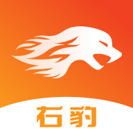 右豹短剧推广平台app官方最新手机版