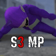 ߱3(S3 MP)