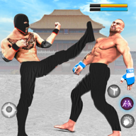 3DϷ׿2023°棨Kung Fu Karate Game