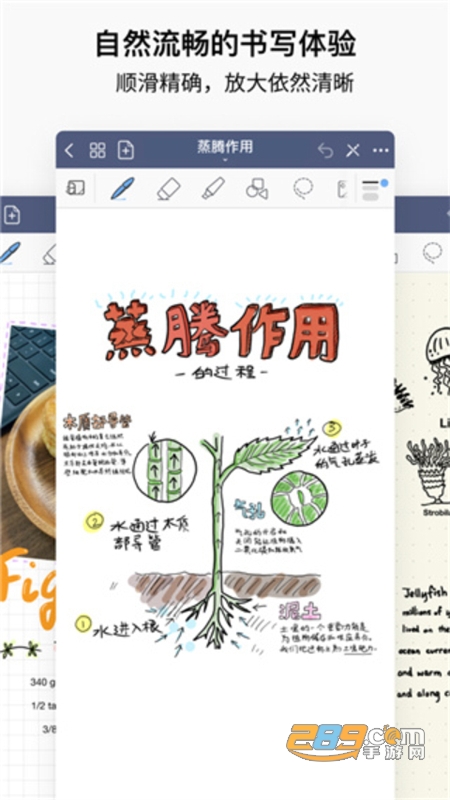 GoodNotes(ӛPӛ)appٷ°