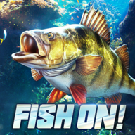 Fish Ong(l)~󎟇(gu)H°v1.0.0.51627(gu)H