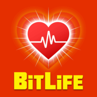 bitlifeİ2024׿Ѱ棨v3.11.6°׿