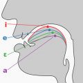 ӢZH(bio)W(xu)(x)ܛdٷ2025°v1.3.8׿M