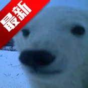 СԴapp°汾v1.7.5׿