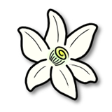 AzaharģMٷd׿Mv2123.3׿M