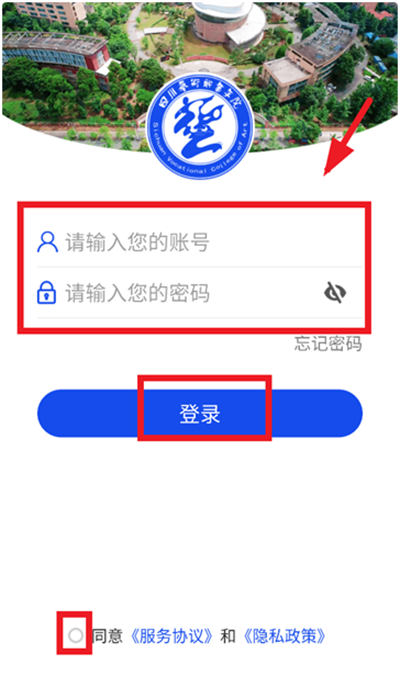 ǻ۴app2025°