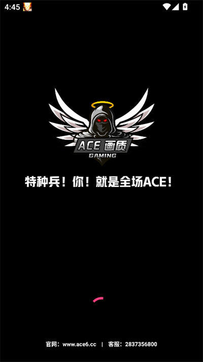 ACEѹٷ°