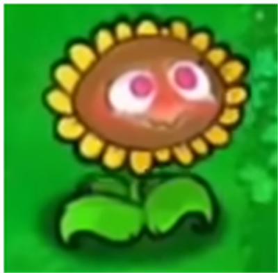 սʬֻ