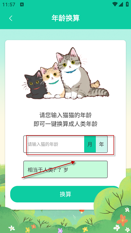 èèappذװ2025°