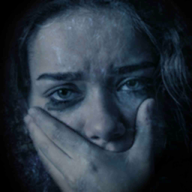 ˹Ƕ֮ŮѰ棨Maid of Skerv1.1׿Ѱ