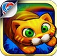 ؈ City CatV 1.0