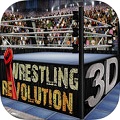ˤǸ3D  Wrestling Revolution 3D׿IOS