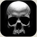 y֮ӣչ Sons of Anarchy The Prospect׿IOS