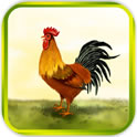 Сu Crazy chick׿IOS