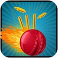  Cricket Knockdown