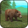 Ұģ3D Wild Bear Simulator 3D׿ios