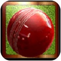 İ2015 True Cricket 2015׿IOS