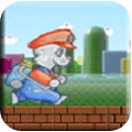 RW Mario Rabbit Run