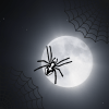 ֩ Spider-Web