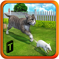 ����è׽����3D Crazy Cat vs Mouse 3D��׿IOS