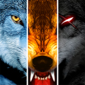 Wolfİv1.3.2