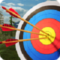 3Dʦ Archery Master 3Dv1.3