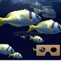 磨fish schooling VR