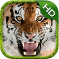 ϻģMHD Tiger Simulator HDv1.0