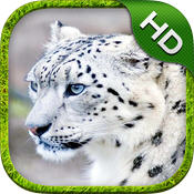 ѩģMHD Snow Leopard Simulator HD