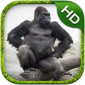 ģMHD Gorilla Simulator HD