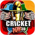 Ϸ3D Cricket play 3Dv1.0