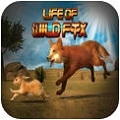 Ұ Life of wild foxv1.0