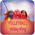 ������ Volleyball: Volley kingv1.0