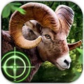 Ұ3D Wild Hunter 3Dv1.0.2