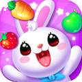 ˮ Fruit Bunny Maniav1.0.7