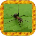 ρģM3D Black Ant Simulator 3D