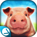 iģMƽ Pig SimuLator