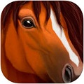 KORģM Ultimate Horse Simulatov1.0.1