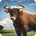3Dģ⹫ţ Bull Simulator 3Dv1.0
