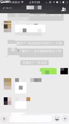 微信撤回消息并向你扔了一只狗生成器 撩妹版