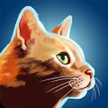 è����� Cat Run����V1.0