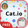 Cat.iov1.0